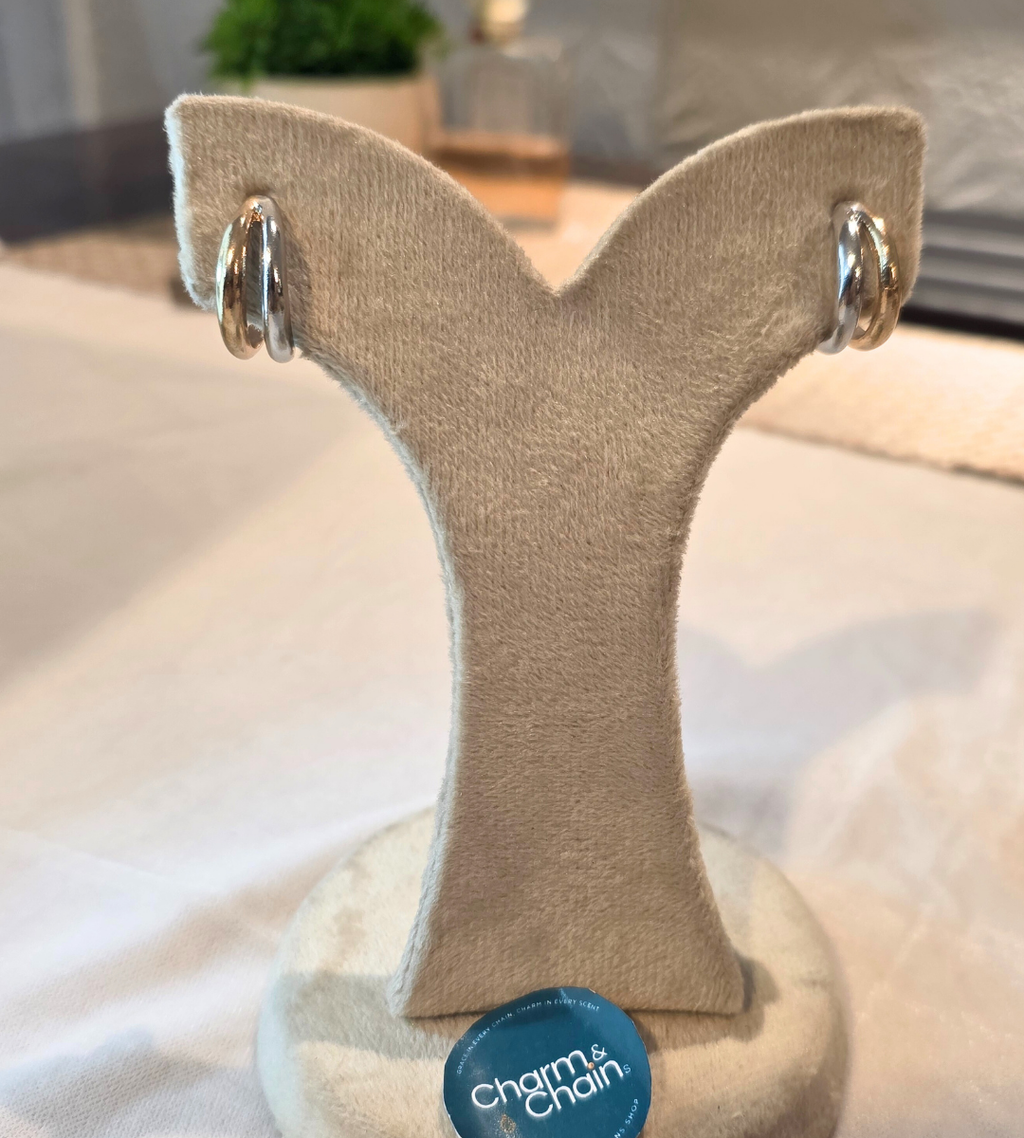 silver & Gold hoop earrings