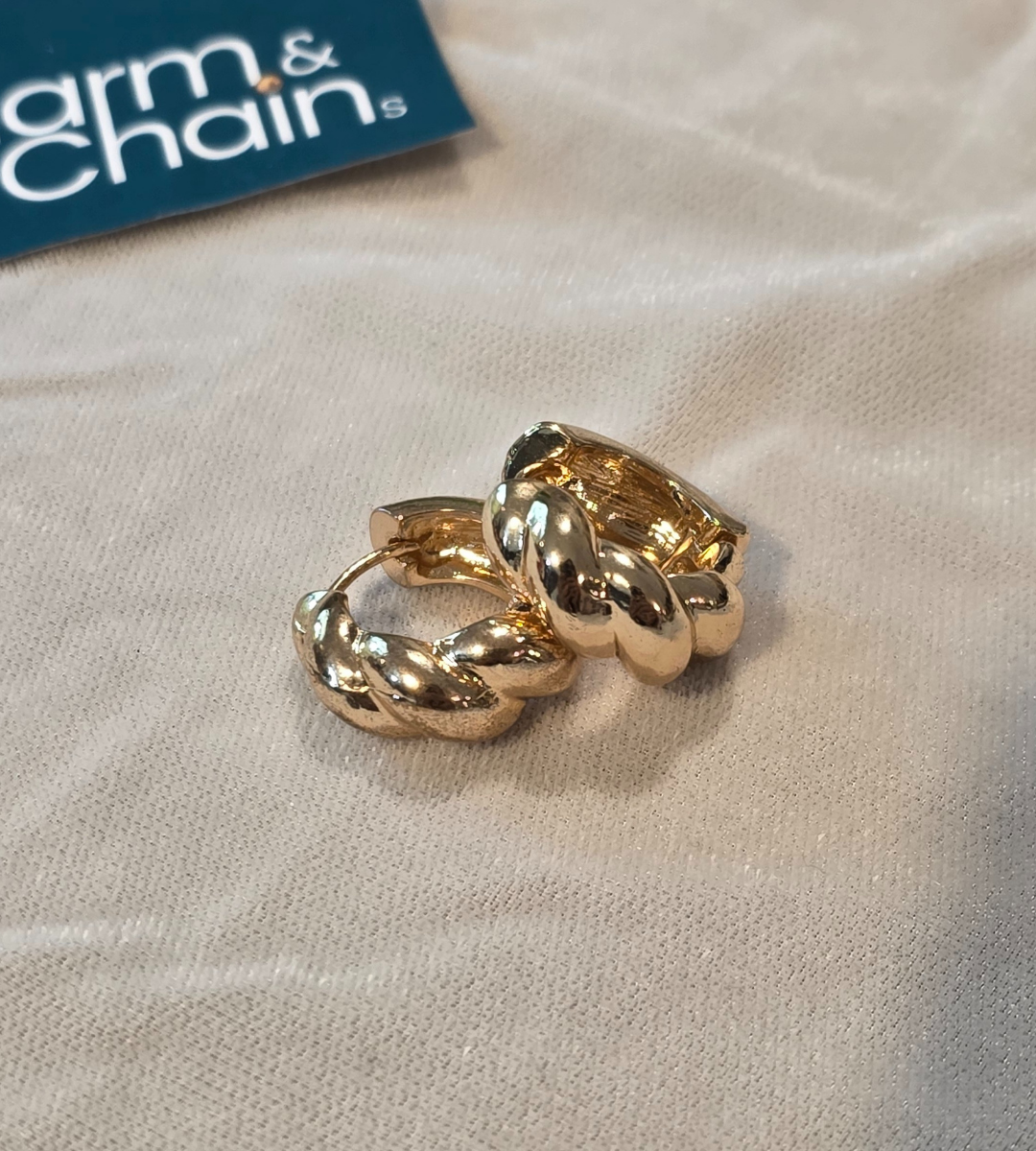 Braided Hoop Earrings